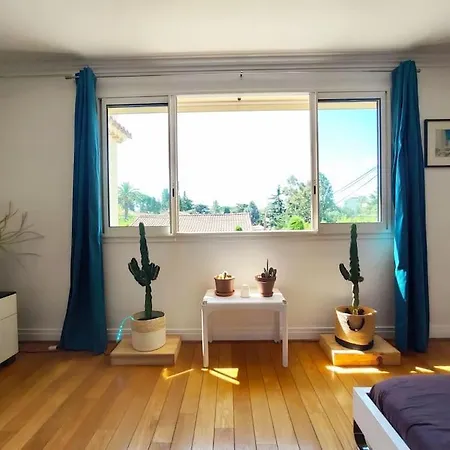 Ereja Havre De Luxe à Avec Piscine * Cannes