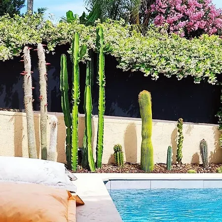 Ereja Havre De Luxe à Avec Piscine Villa Cannes